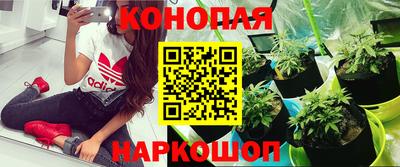 хмурый Абакан