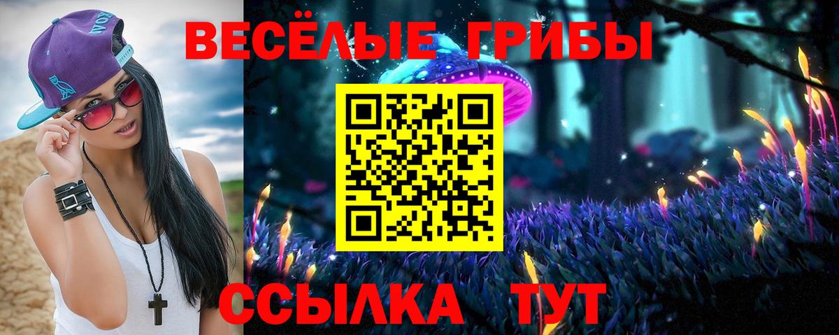 Галлюциногенные грибы GOLDEN TEACHER Тихорецк