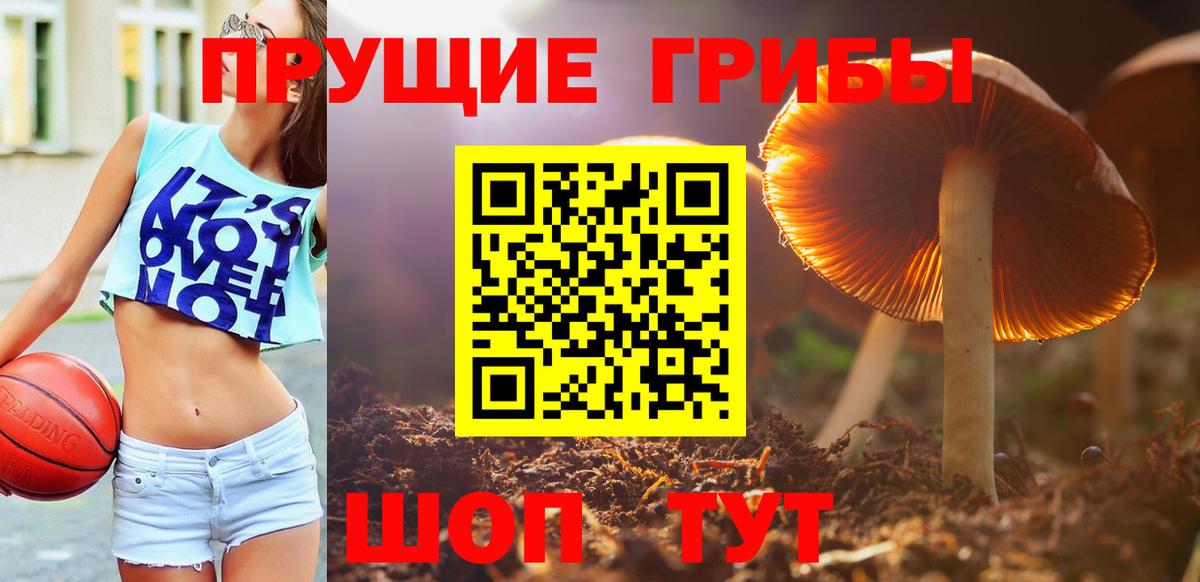 Псилоцибиновые грибы MAGIC MUSHROOMS  Вход с VPN  Тихорецк  Псилоцибиновые грибы мухоморы 