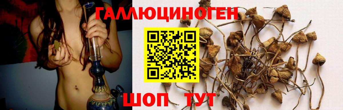 закладка  Галлюциногенные грибы ЛСД  Вход с VPN  Тихорецк 